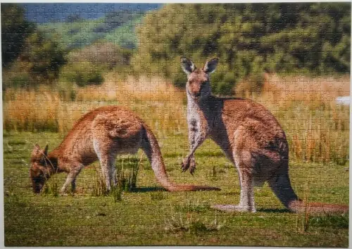 #11. Kangury, Australia;  Trefl 1000.jpg