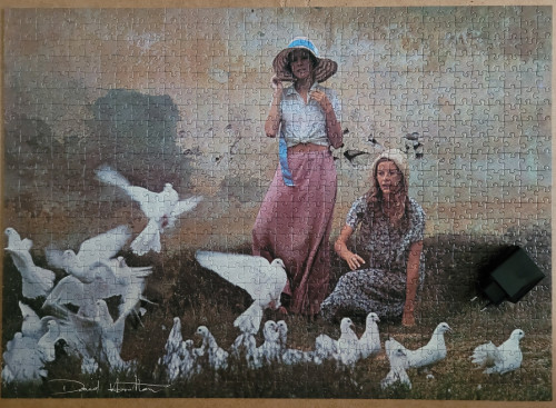 1000019399.jpg